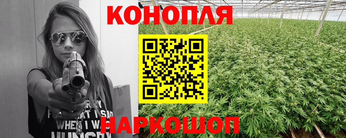 Бошки Шишки индика  Марихуана семена  Вход с VPN  Марихуана планчик  Коркино  Шишки марихуана Bruce Banner 